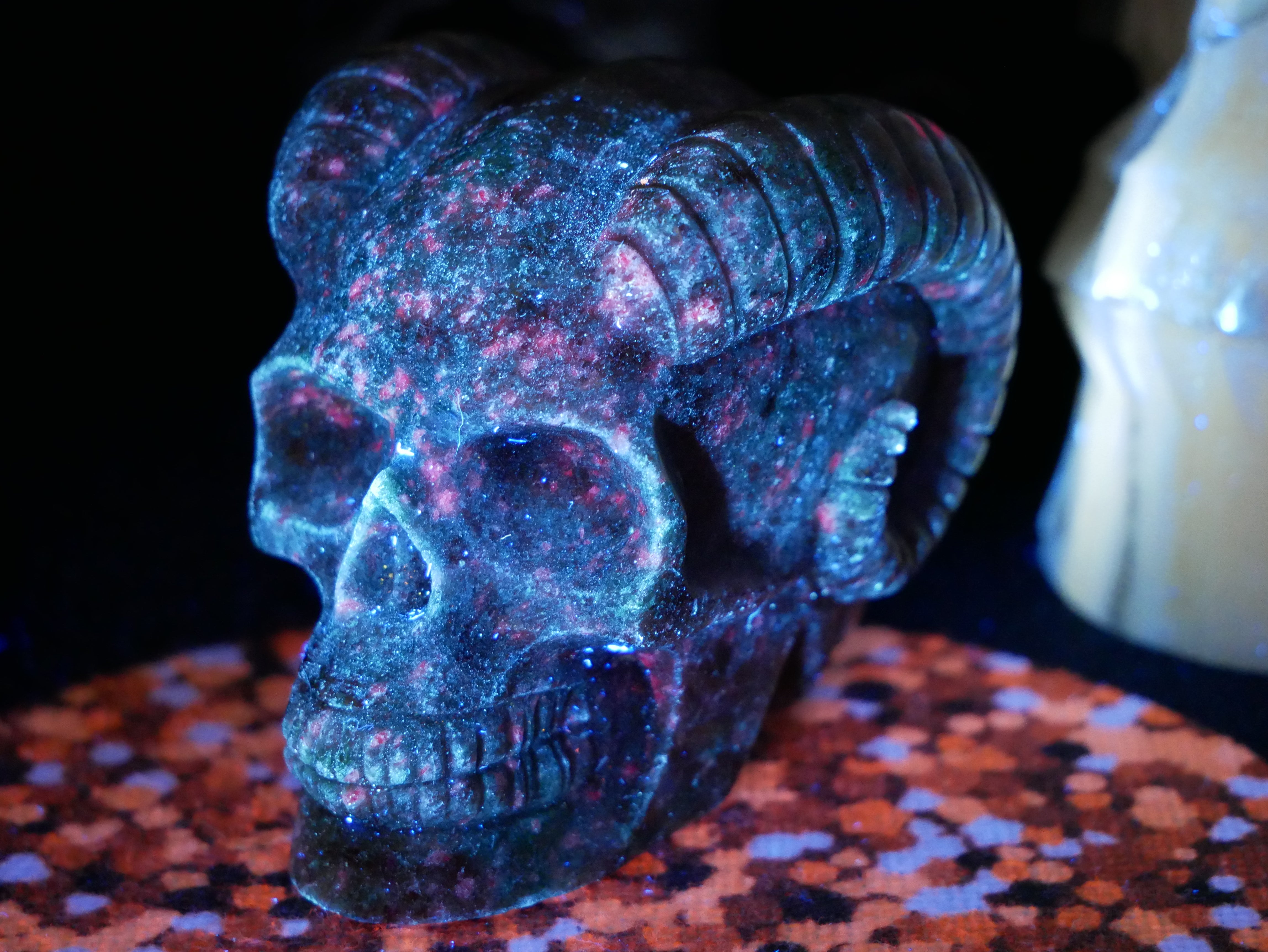 Ocean Jasper Skull w/ Horns